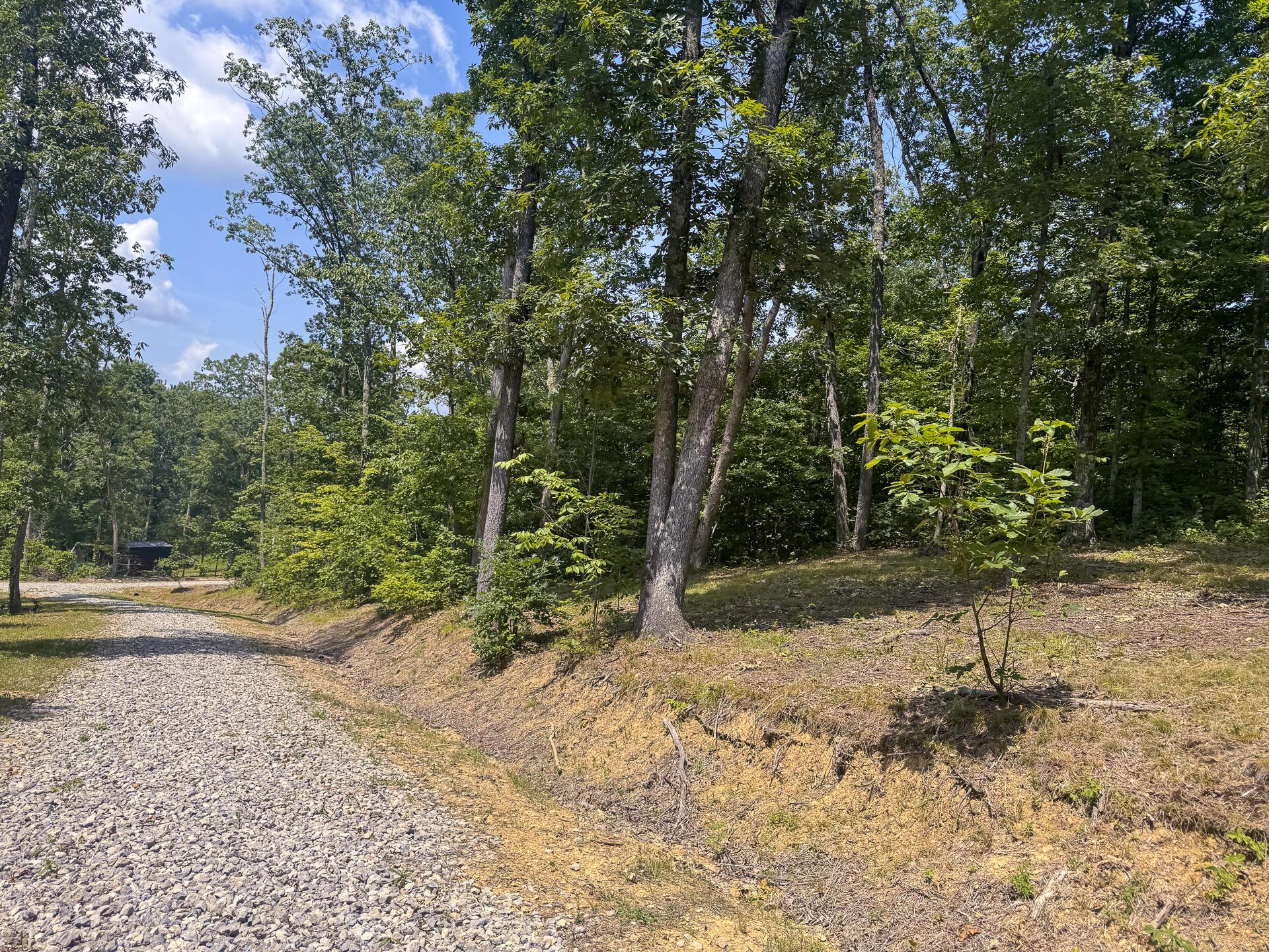 272 Golf Course Road, Unit TRACT 8 SKYLINEACRES) Waverly, OH 45690 - Photo 35 of 40 CT-35