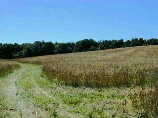 3 Mt Tabor Road Buchanan, MI 49107 - Photo 1 of 1 Primary Photo