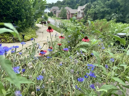 $1,350,000 | 782 Saussy Place, Nashville, TN 37205