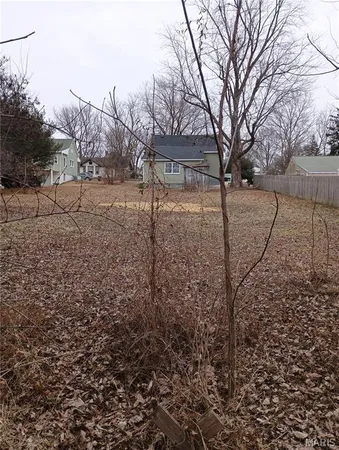 $159,000 | 107 North Evans Street, Armstrong, MO 65230