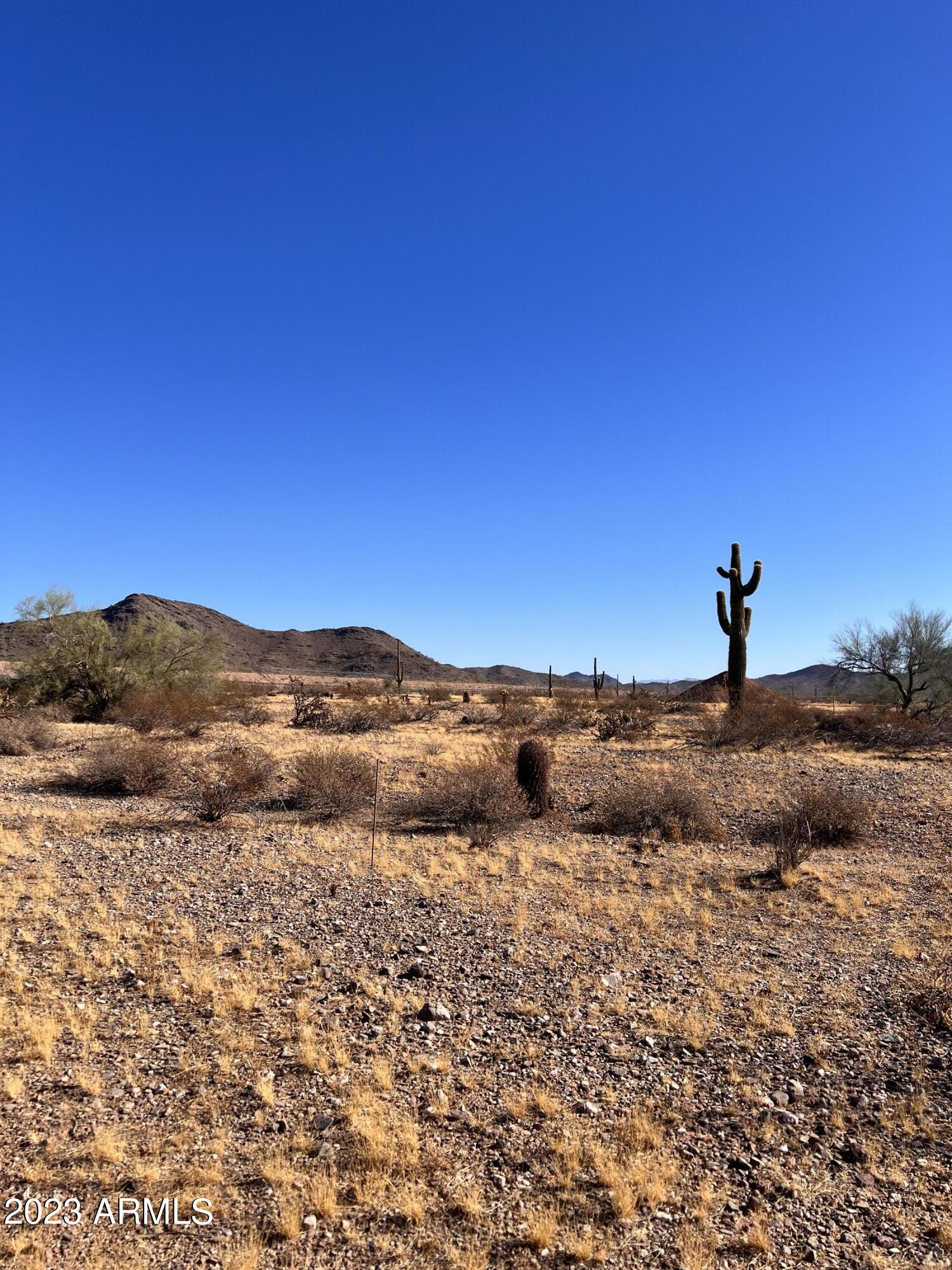15728 West Montgomery Road Surprise, AZ 85387 - Photo 41 of 41 IMG_5037