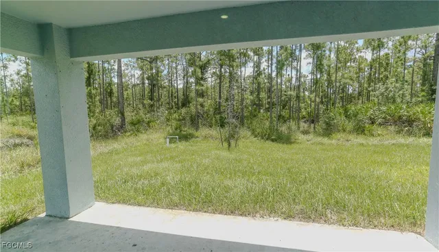 a view of a garden from a window