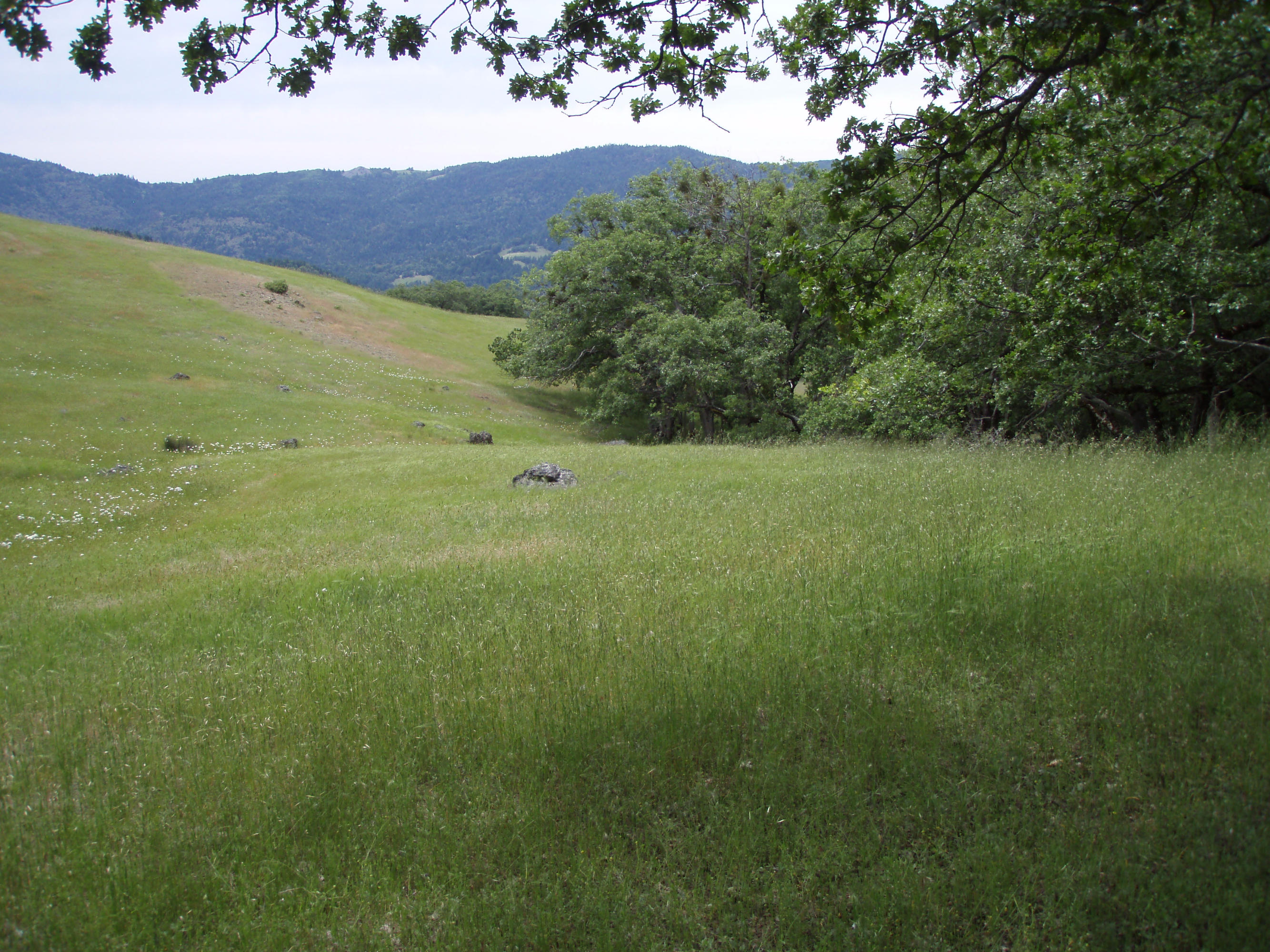 4750 Burr Valley Road Bridgeville, CA 95526 - Photo 44 of 52