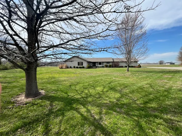 a view of a field with large trees