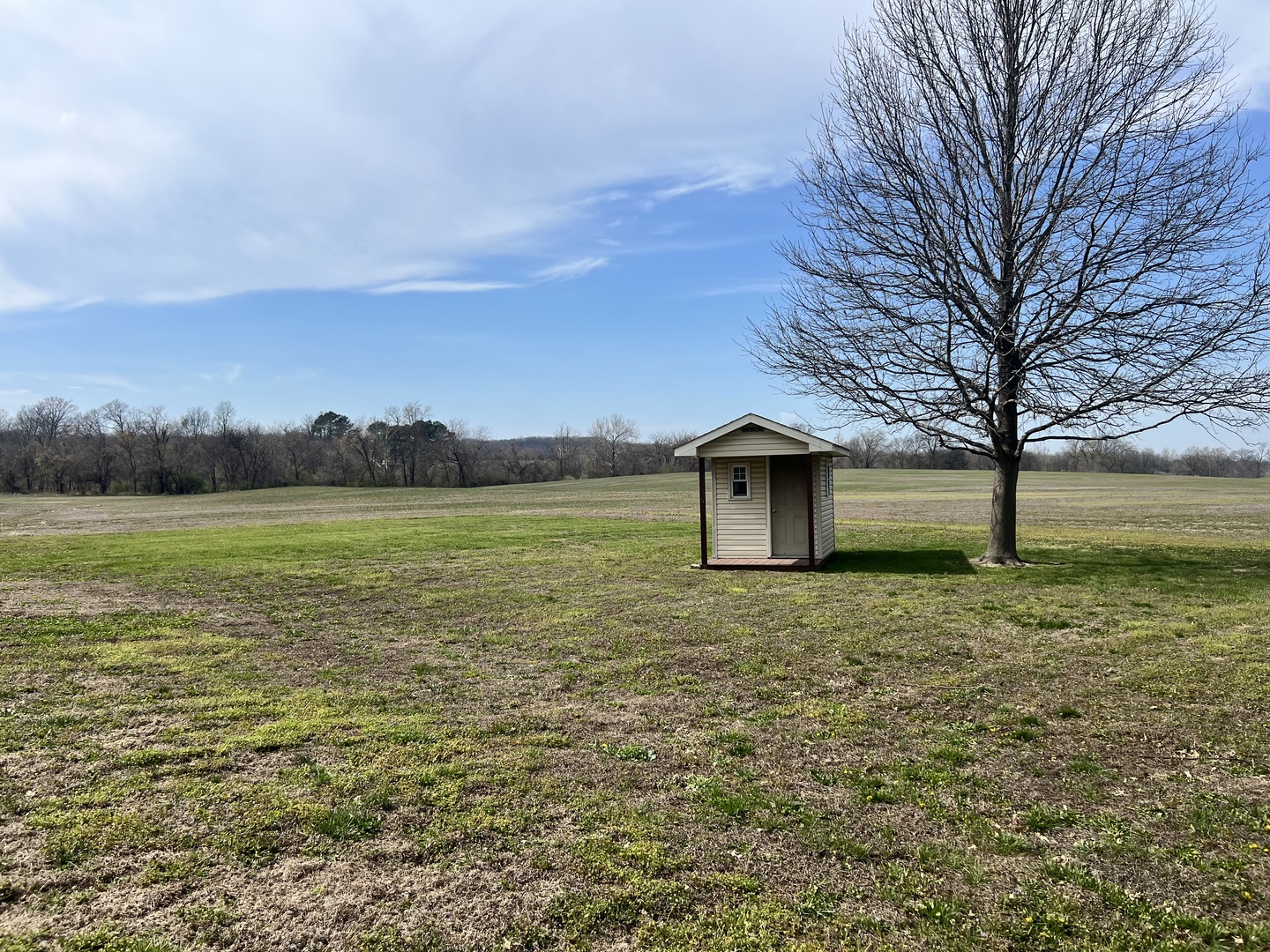 233 Dunivan Road Murphysboro, IL 62966 - Photo 4 of 35 a big yard with lots of green space and fog