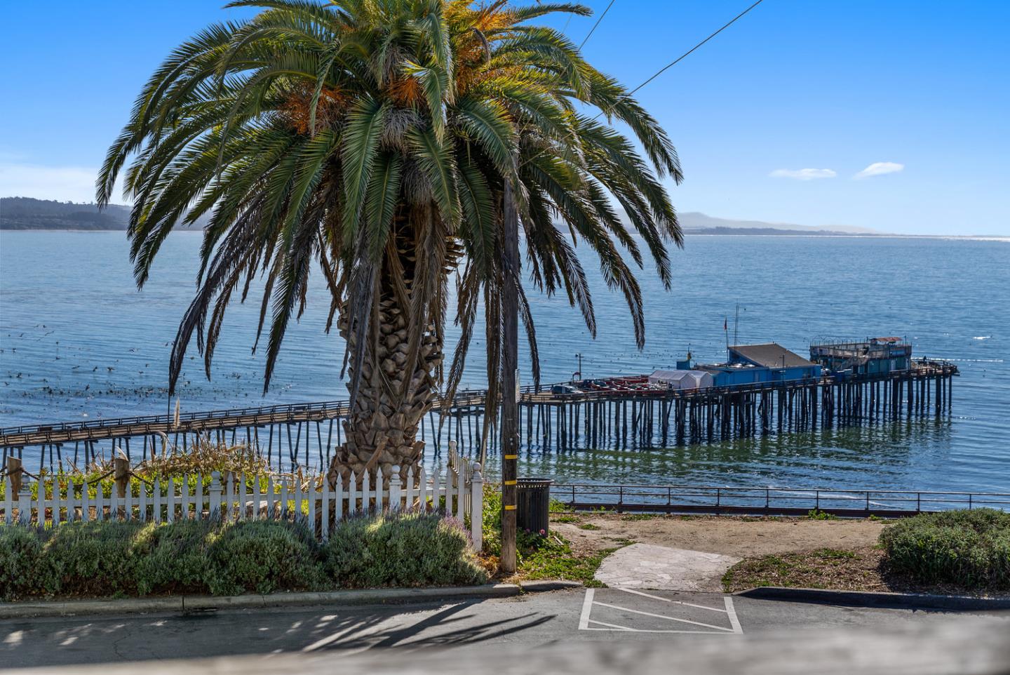 1385 Prospect Avenue Capitola, CA 95010 - Photo 7 of 41 a view of a backyard with a patio