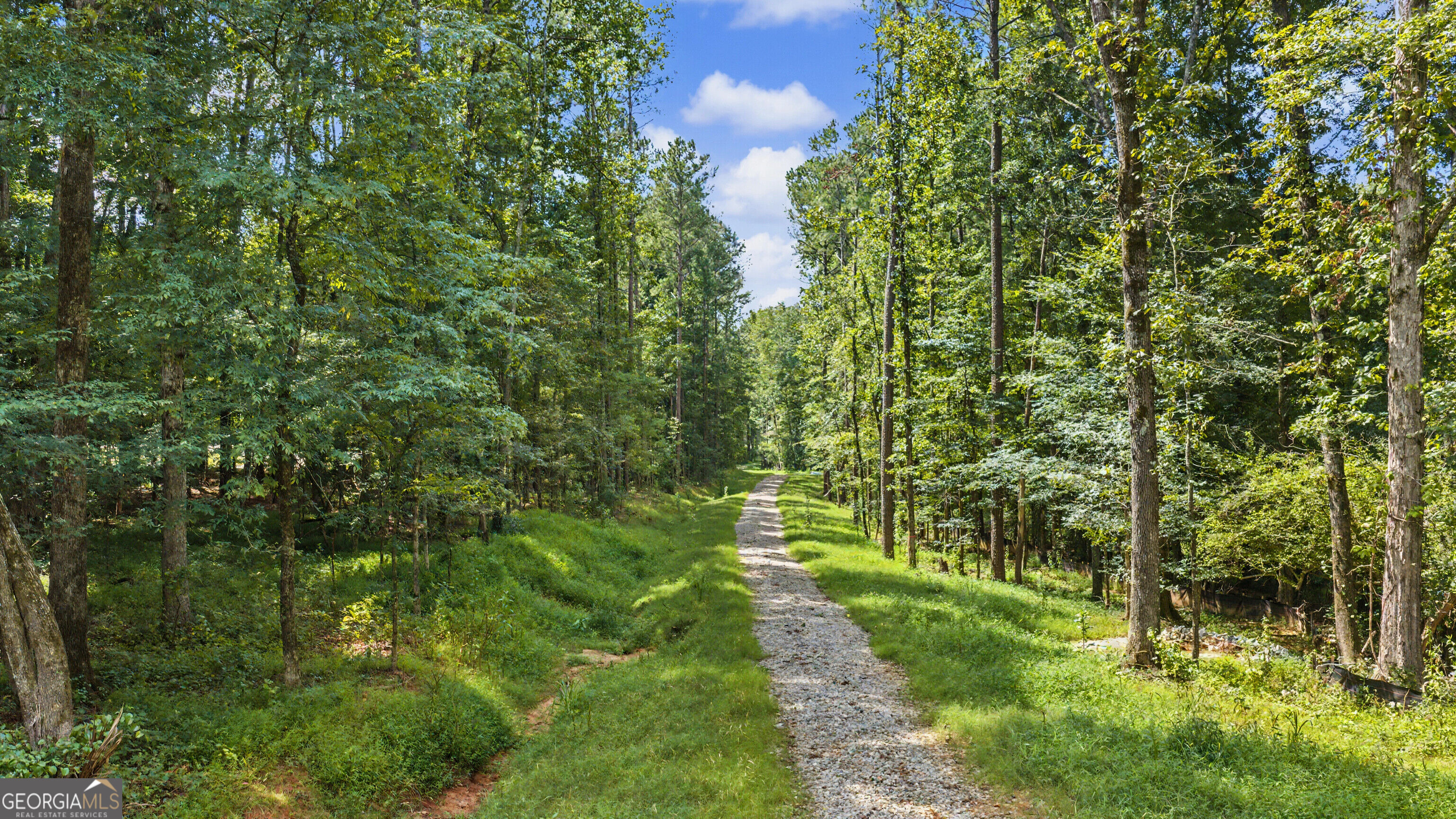 446 Rising Star Road Brooks, GA 30205 - Photo 2 of 19 Gallery Image 2