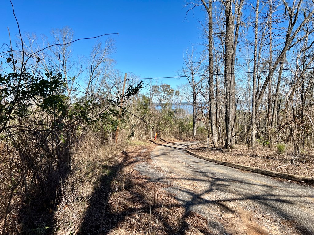 0 County Road 97 Abbeville, AL 36310 - Photo 31 of 53