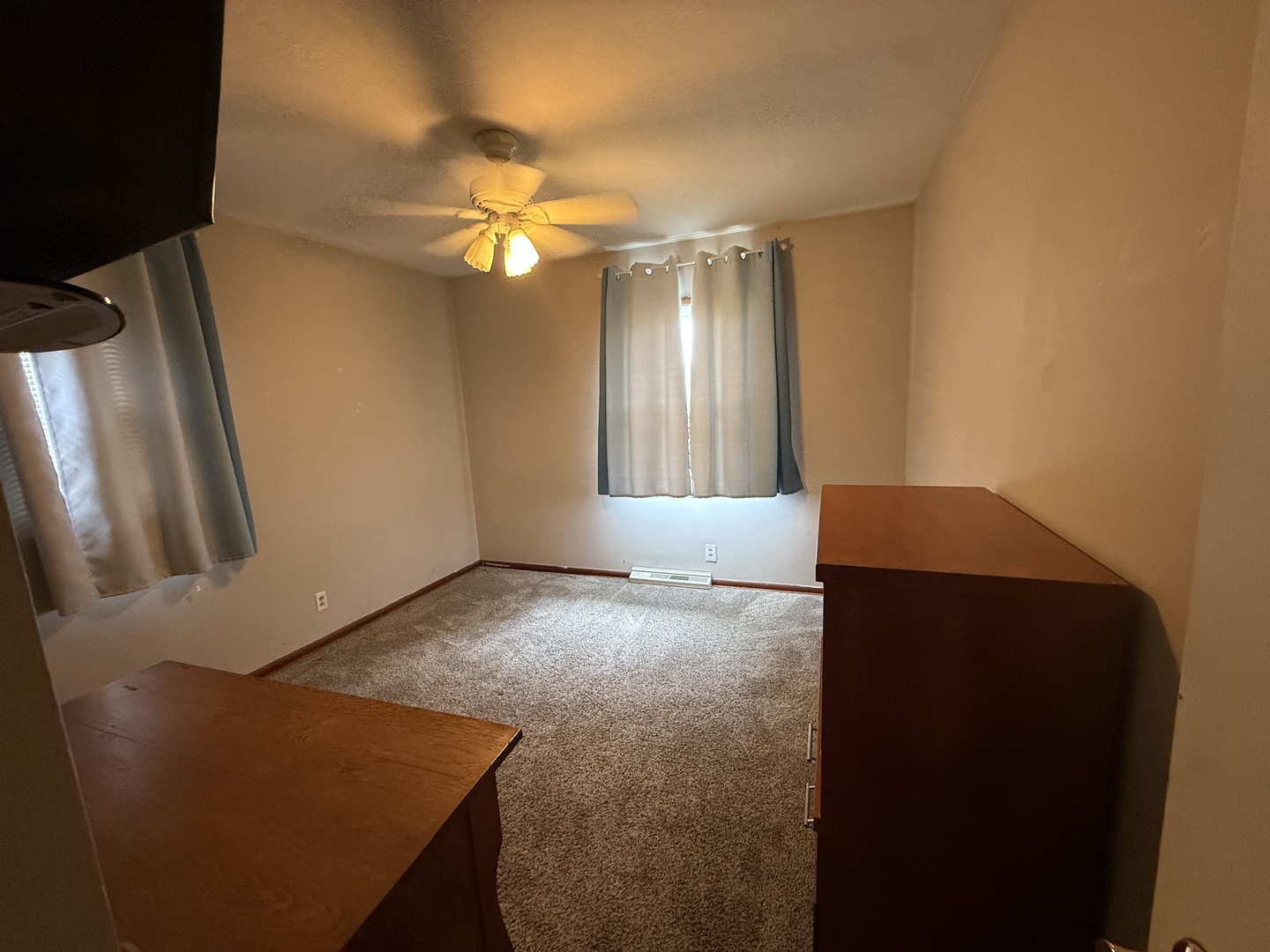 353 Irene Avenue Rochelle, IL 61068 - Photo 13 of 23