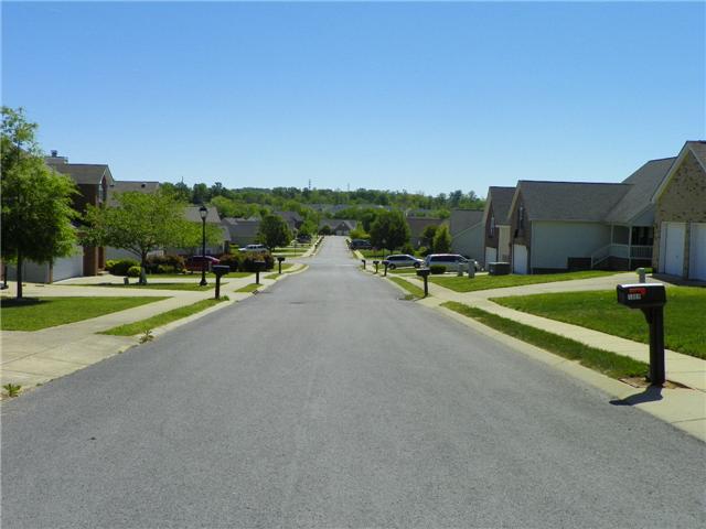 1312 Chapman Court Spring Hill, TN 37174 - Photo 19 of 20