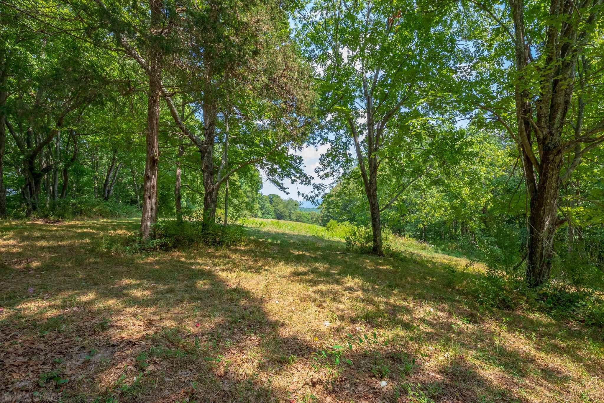 218 Byrnes Chapel Road Bland, VA 24315 - Photo 70 of 83 Gallery Image 70
