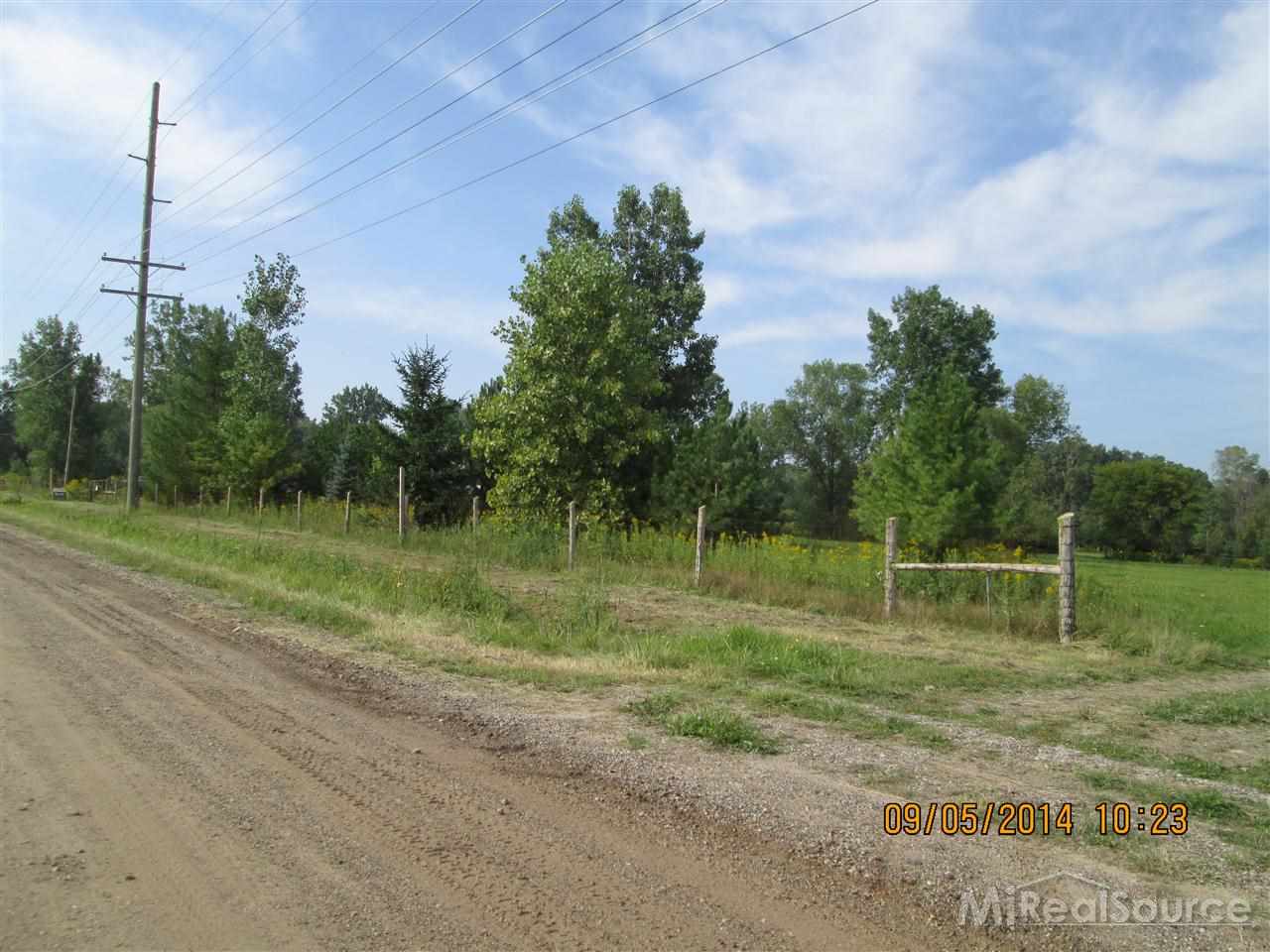 955 Wales Ridge Road Goodells, MI 48027 - Photo 4 of 27