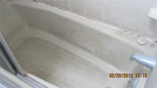 16 Plant Road Waltham, MA 02451 - Photo 11 of 18 a view of a bathtub in a window