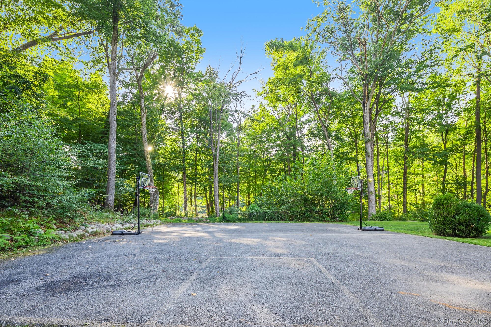 996 Haverstraw Road Suffern, NY 10901 - Photo 43 of 50 a view of outdoor space and trees