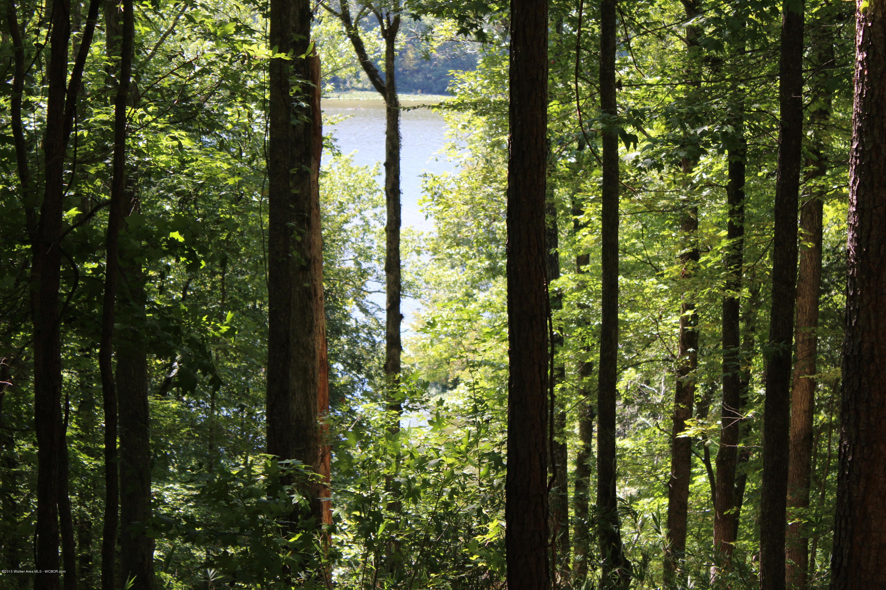 Parcel 'a' Eagle Port Road Quinton, AL 35130 - Photo 11 of 11 Gallery Image 11