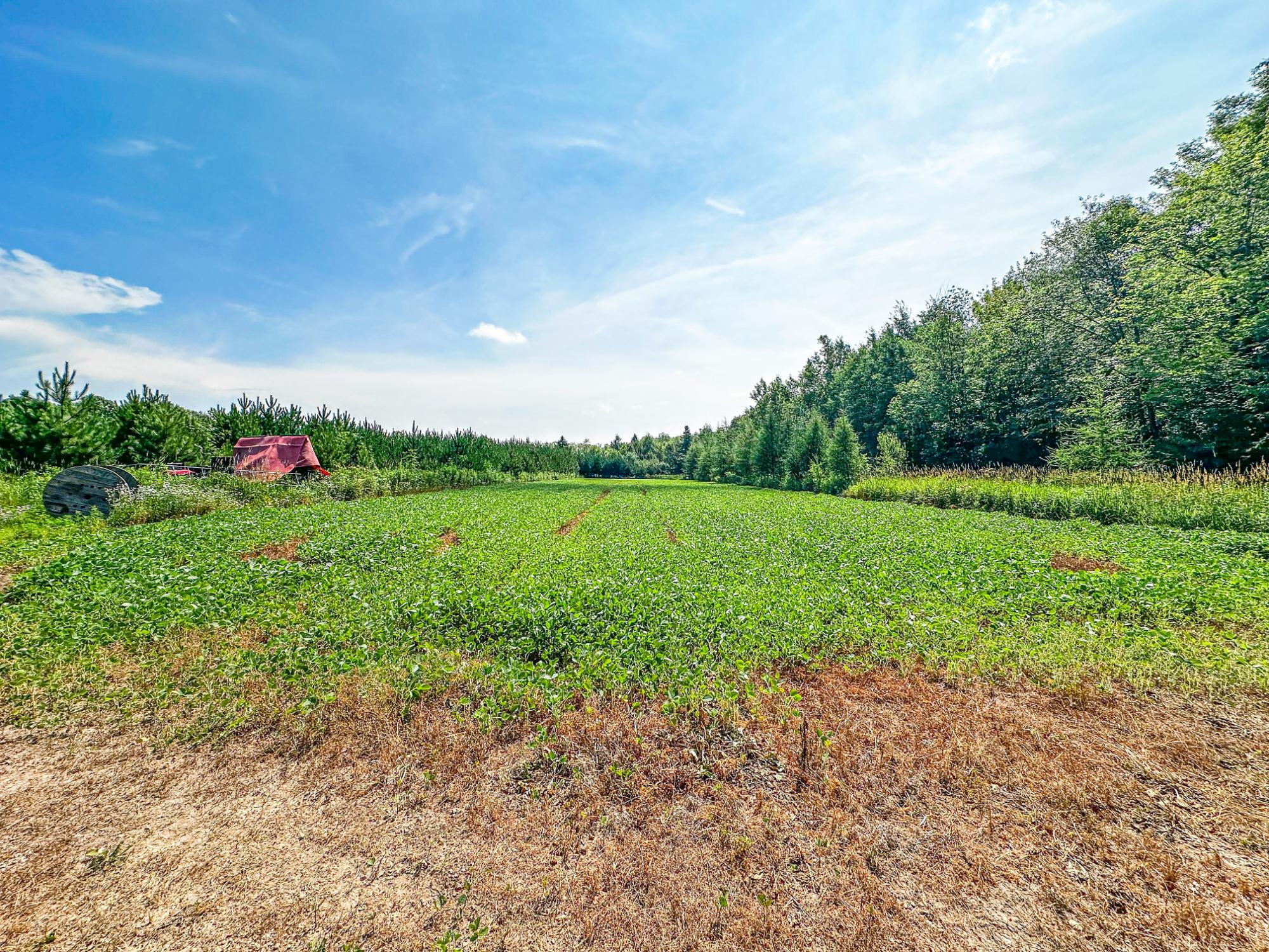 N4102 Noll Road Kennan, WI 54537 - Photo 89 of 99 Gallery Image 89