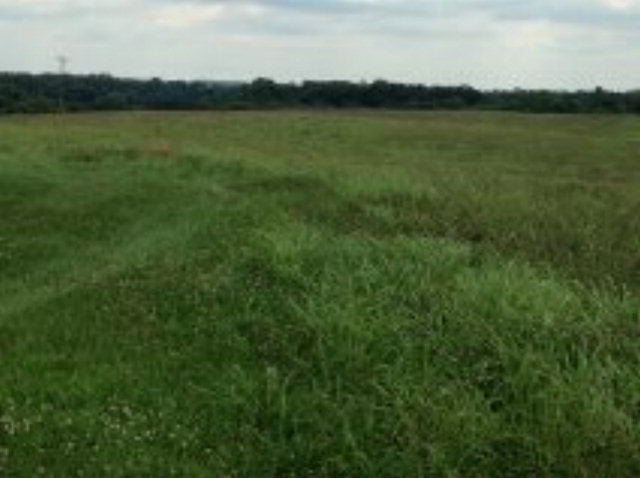 130 Stovall Road Glasgow, KY 42141 - Photo 16 of 18 Gallery Image 16