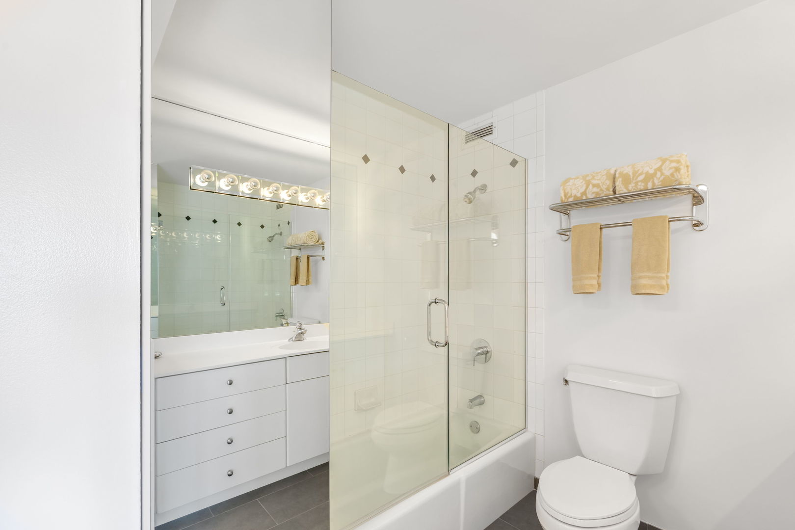 1313 North Ritchie Court, Unit 2401 Chicago, IL 60610 - Photo 21 of 29 a bathroom with a toilet a sink and shower