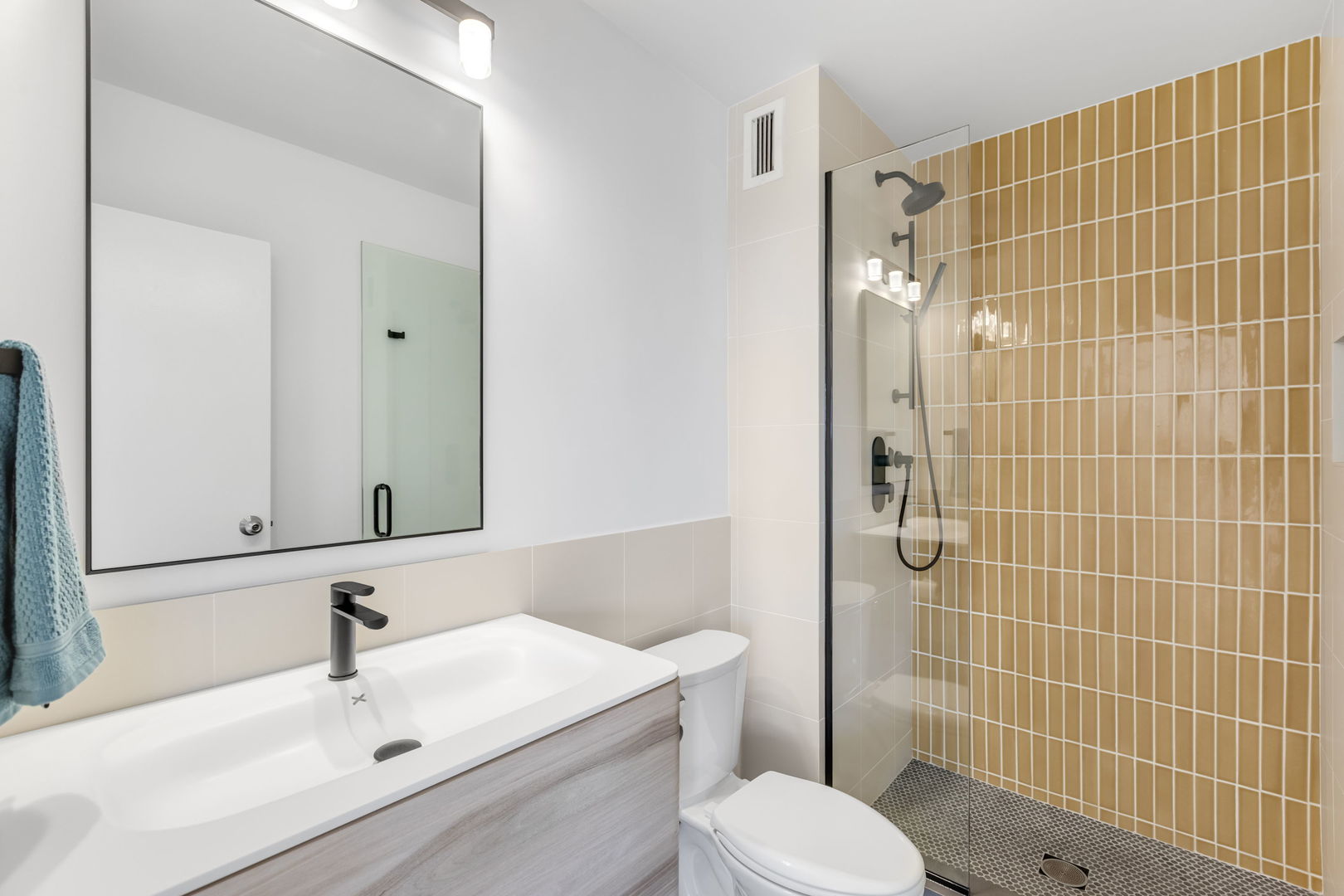 1313 North Ritchie Court, Unit 2401 Chicago, IL 60610 - Photo 23 of 29 a bathroom with a sink toilet and shower