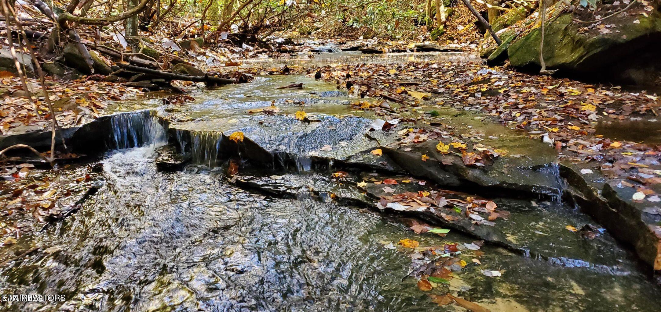 1532 East Overlook Road Monterey, TN 38574 - Photo 3 of 60 1532 Creek 2