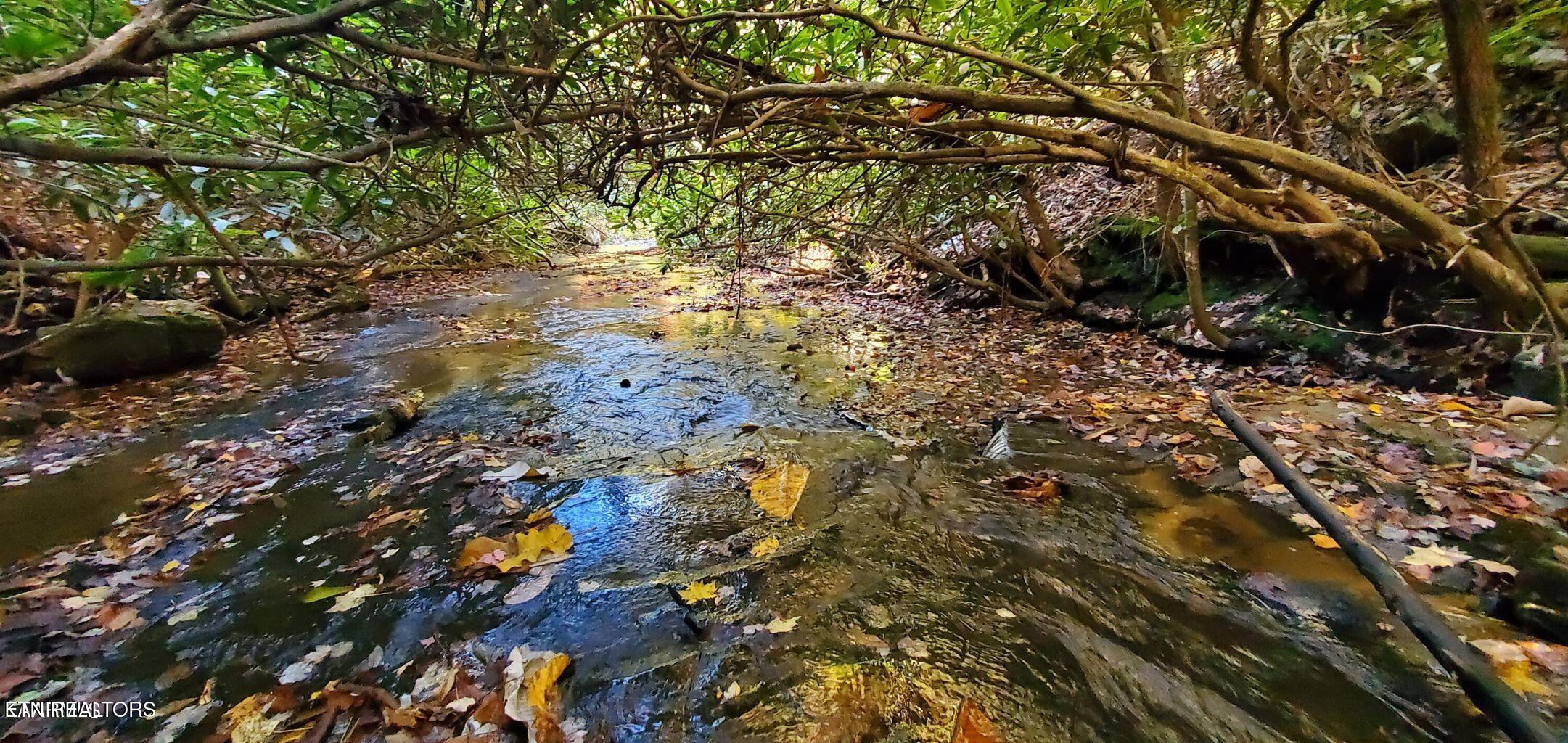 1532 East Overlook Road Monterey, TN 38574 - Photo 35 of 60 1532 Creek 1
