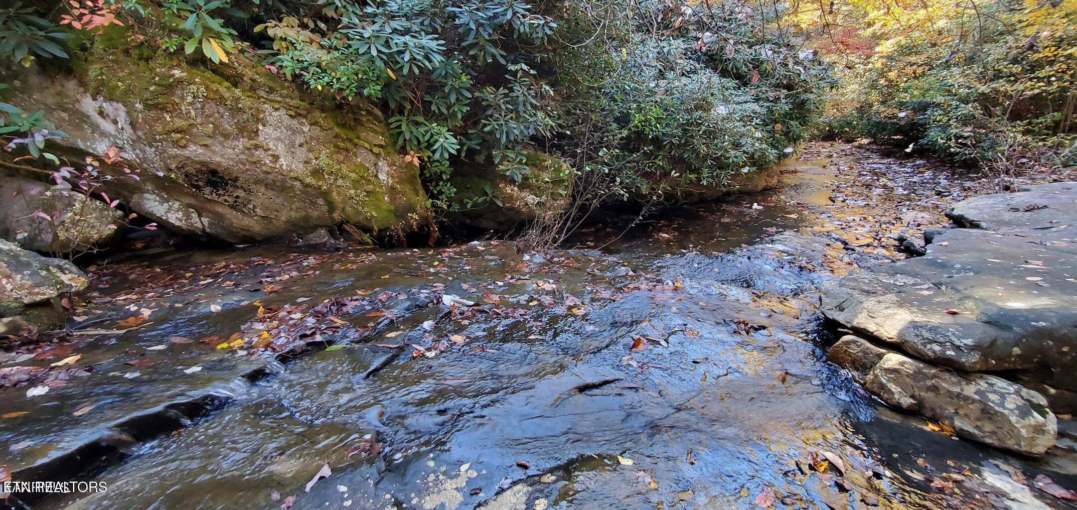 1532 East Overlook Road Monterey, TN 38574 - Photo 36 of 60 1532 Creek 3