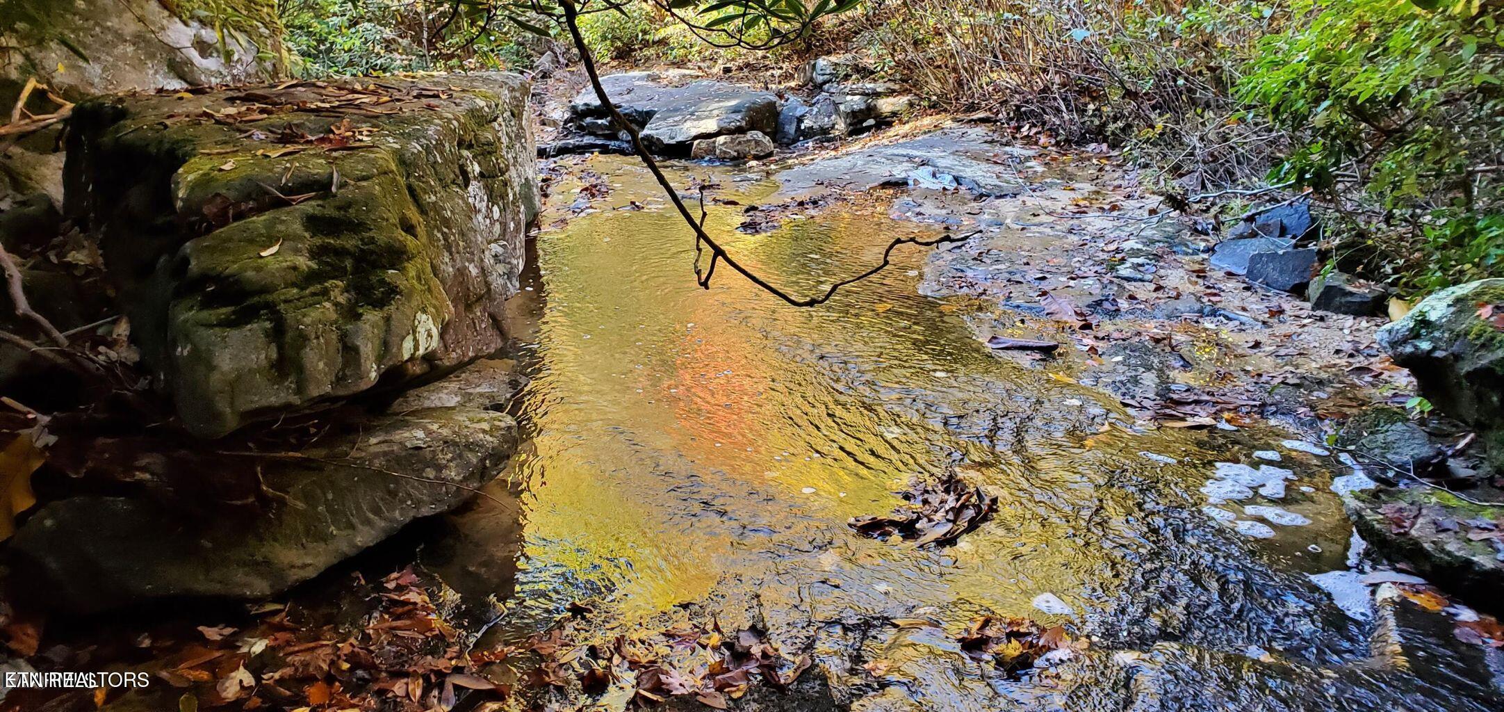 1532 East Overlook Road Monterey, TN 38574 - Photo 37 of 60 1532 Creek 4