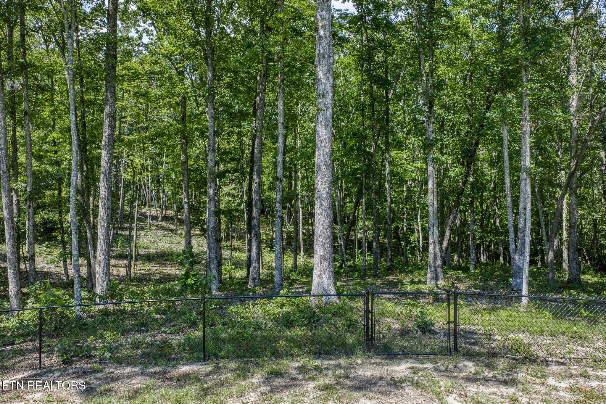 1532 East Overlook Road Monterey, TN 38574 - Photo 56 of 60 1532 E Overlook Rd-381