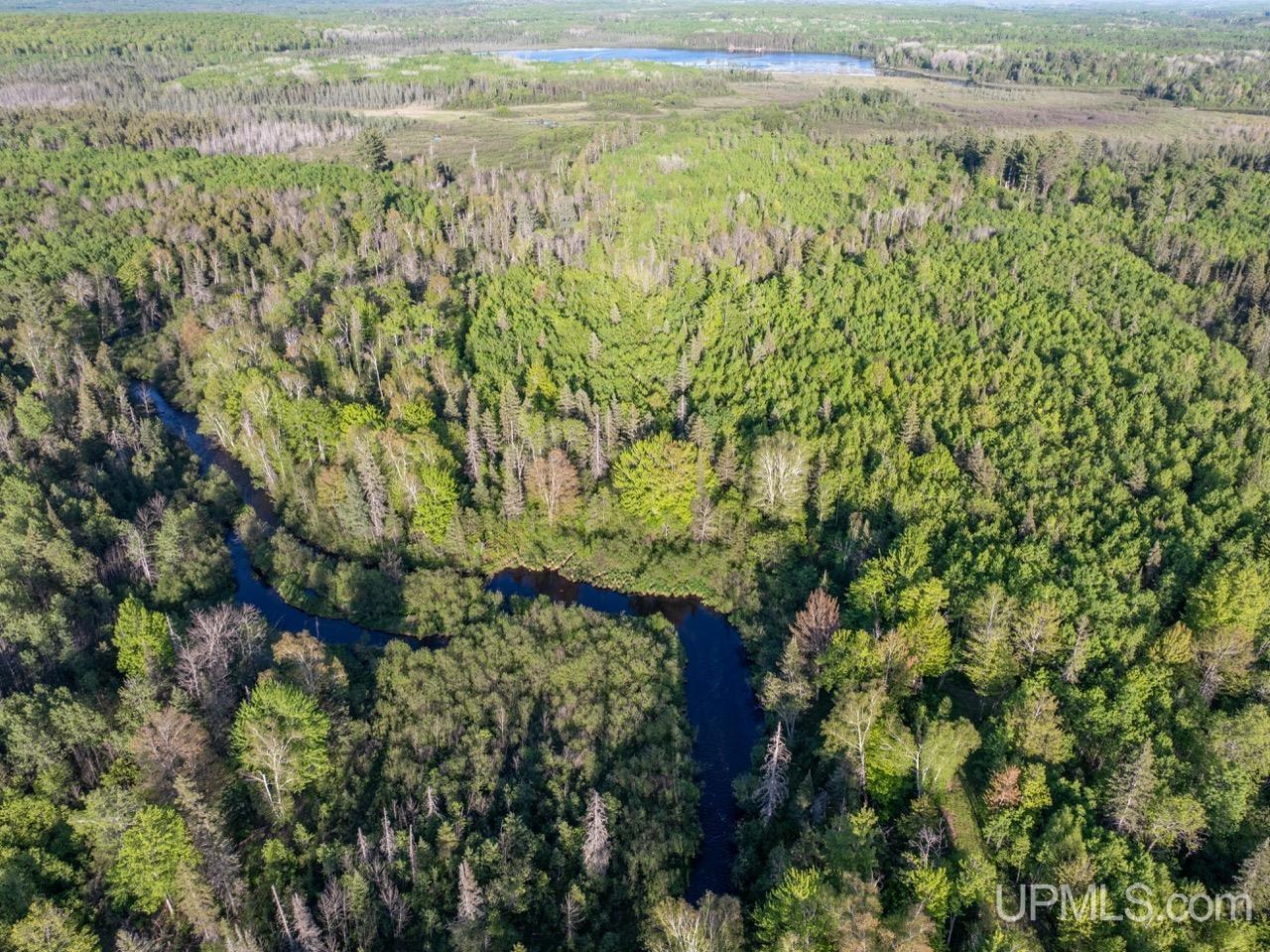 730 Premo Creek Road Crystal Falls, MI 49920 - Photo 78 of 91