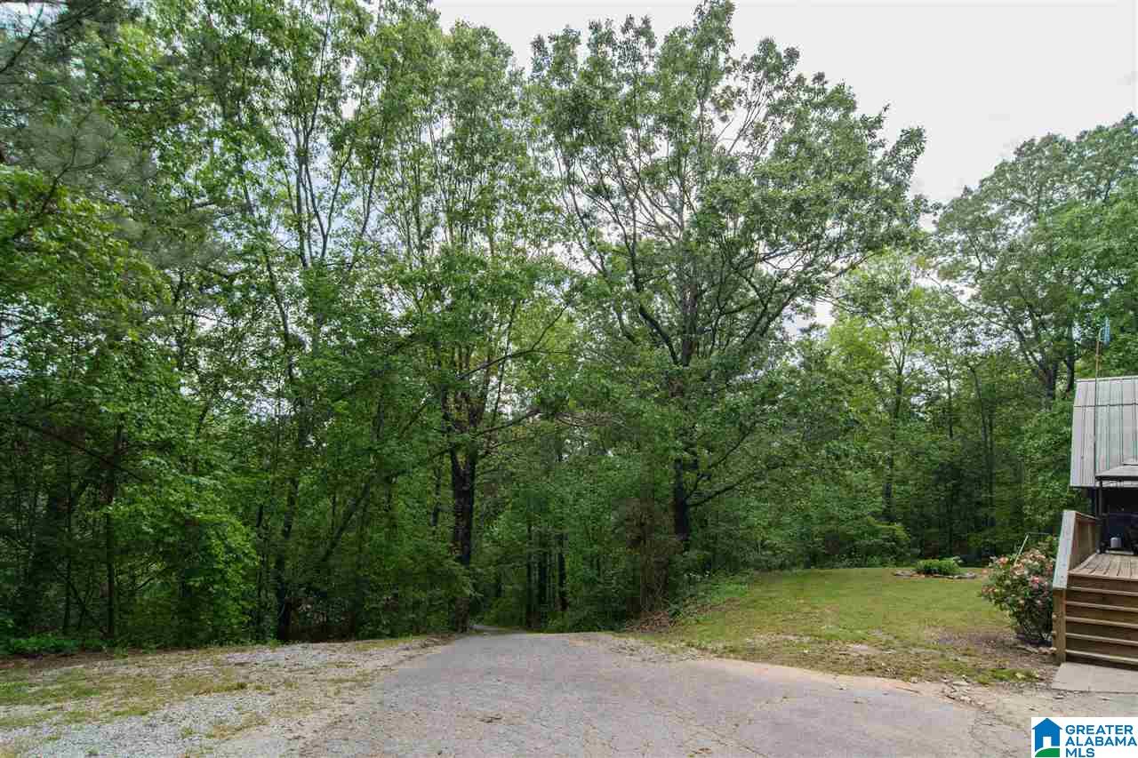 687 Sims Road Oneonta, AL 35121 - Photo 23 of 25