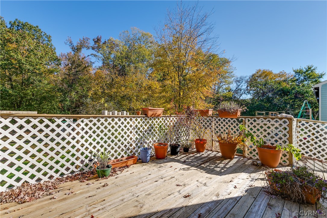 16205 Roland Drive Chester, VA 23831 - Photo 29 of 35