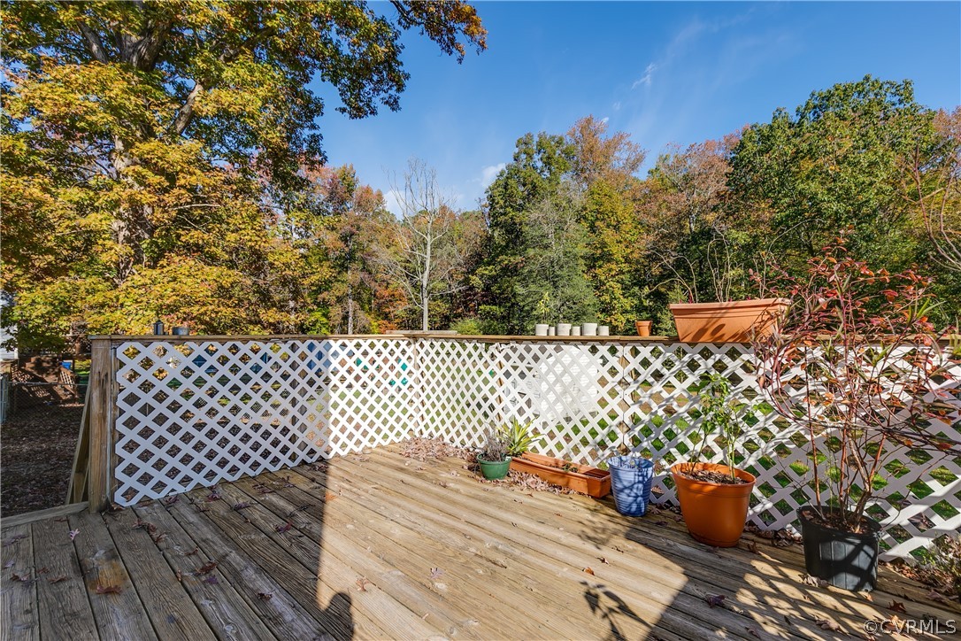 16205 Roland Drive Chester, VA 23831 - Photo 30 of 35