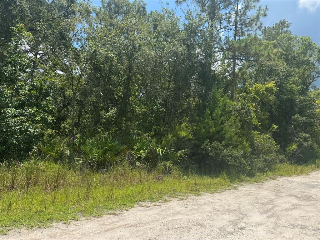 0 Lisle Street New Port Richey, FL 34654 - Photo 4 of 7 Gallery Image 4