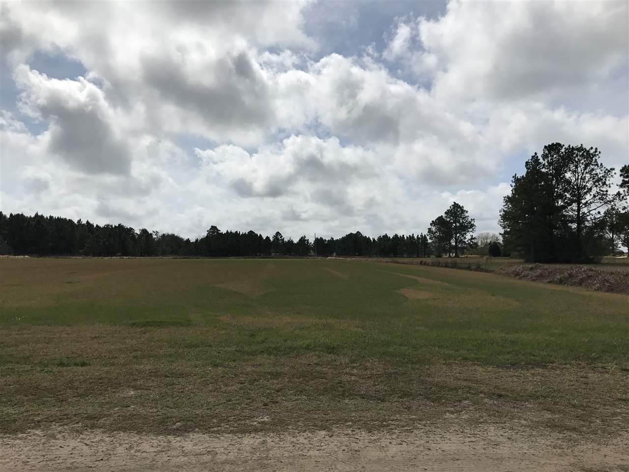 0 Singleton Lane Elberta, AL 36530 - Photo 3 of 5 Facing Southwest
