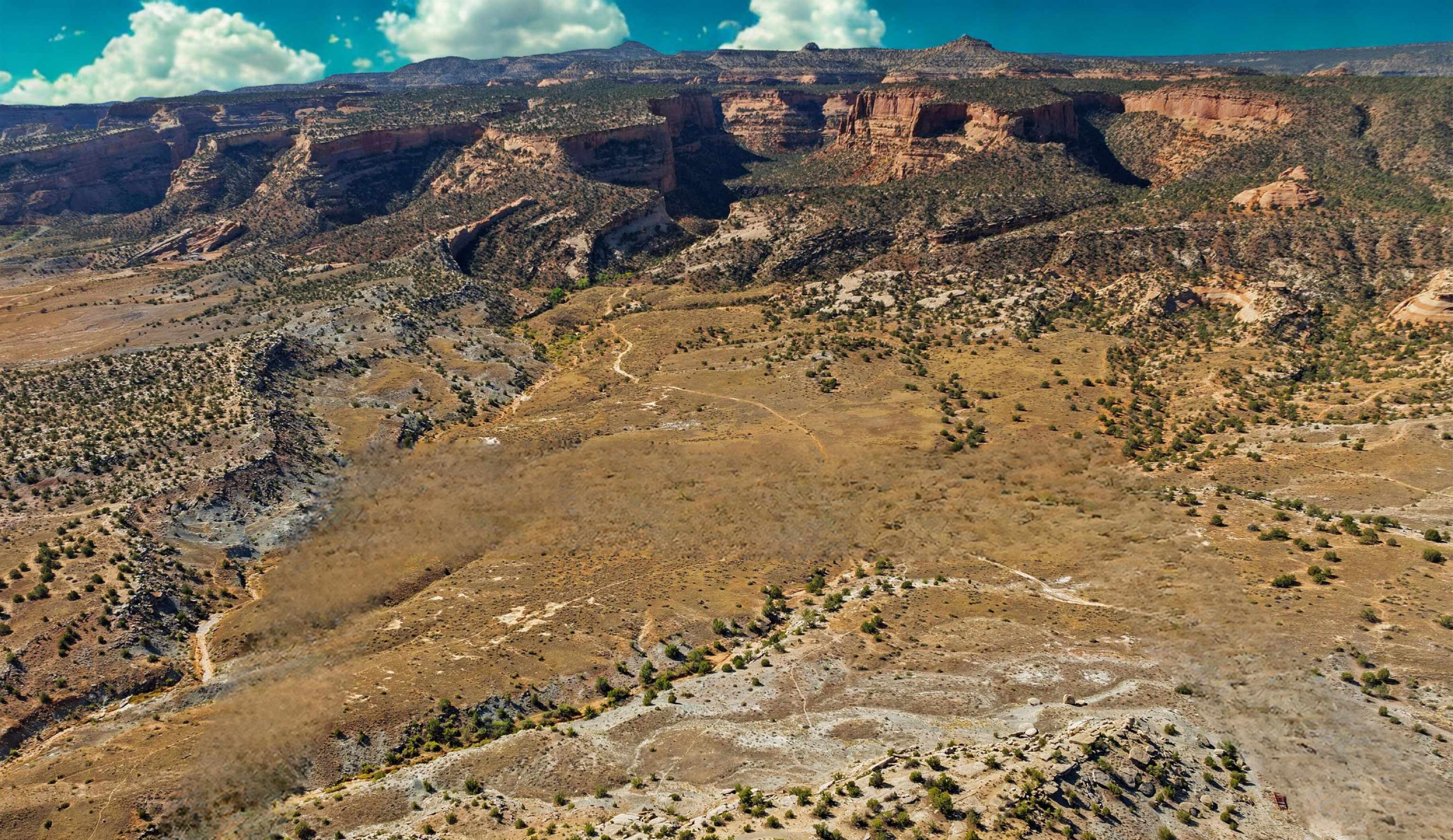 Tbd Prince Court Fruita, CO 81521 - Photo 7 of 9 a view of a yard with a wooden fence
