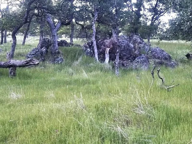 $150,000 | 0 Spring Valley, Marysville, CA 95901