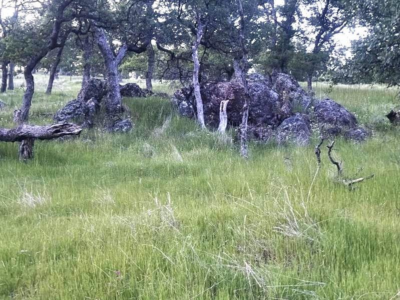 0 Spring Valley Marysville, CA 95901 - Photo 8 of 9