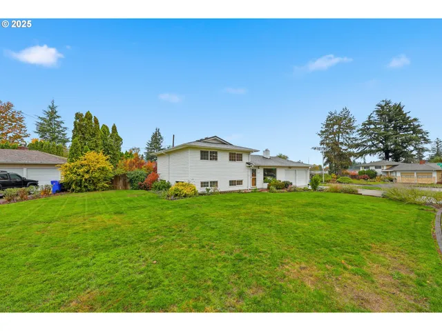 a view of a backyard with plants and large trees