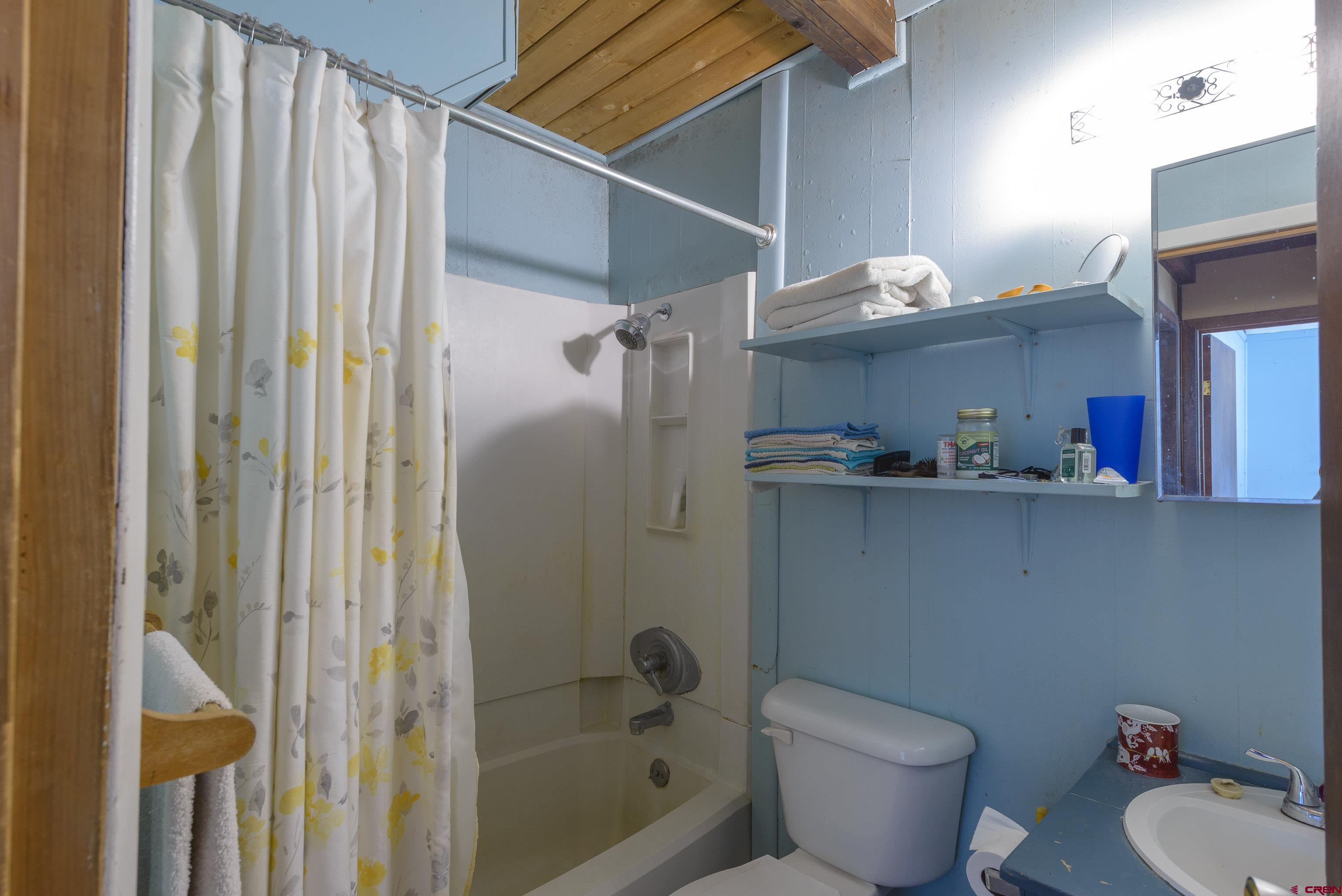 31 Castle Road, Unit 6 Crested Butte, CO 81225 - Photo 11 of 17