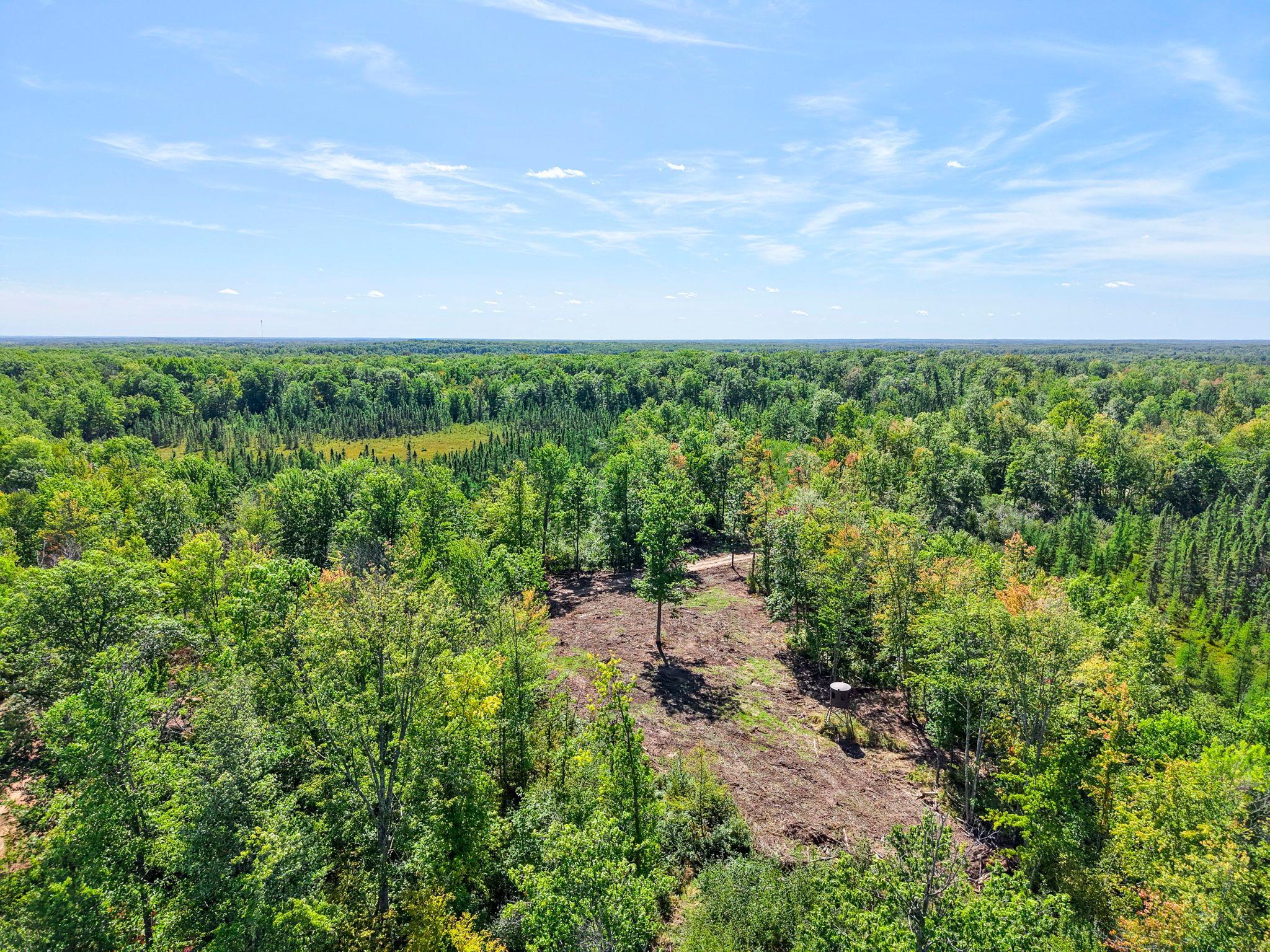 Xxx Fleming Logging Road Hinckley, MN 55037 - Photo 18 of 87 Gallery Image 18