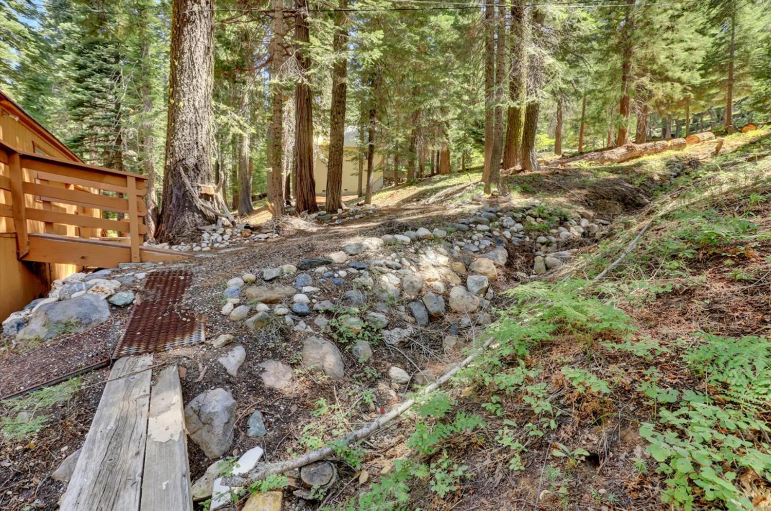 351 Silver Tip Springs Road Strawberry Valley, CA 95981 - Photo 40 of 57 a view of a yard with plants and trees