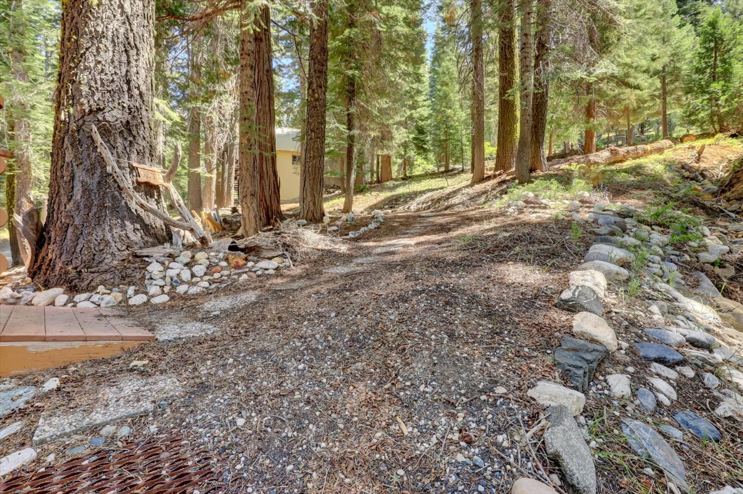 351 Silver Tip Springs Road Strawberry Valley, CA 95981 - Photo 41 of 57 a backyard of a house with lots of green space