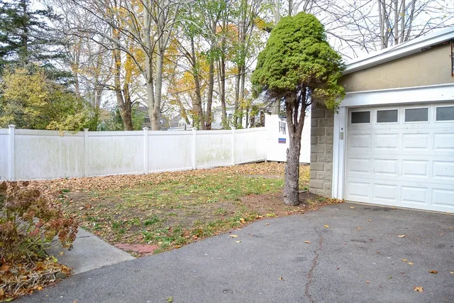 a view of a yard with a tree