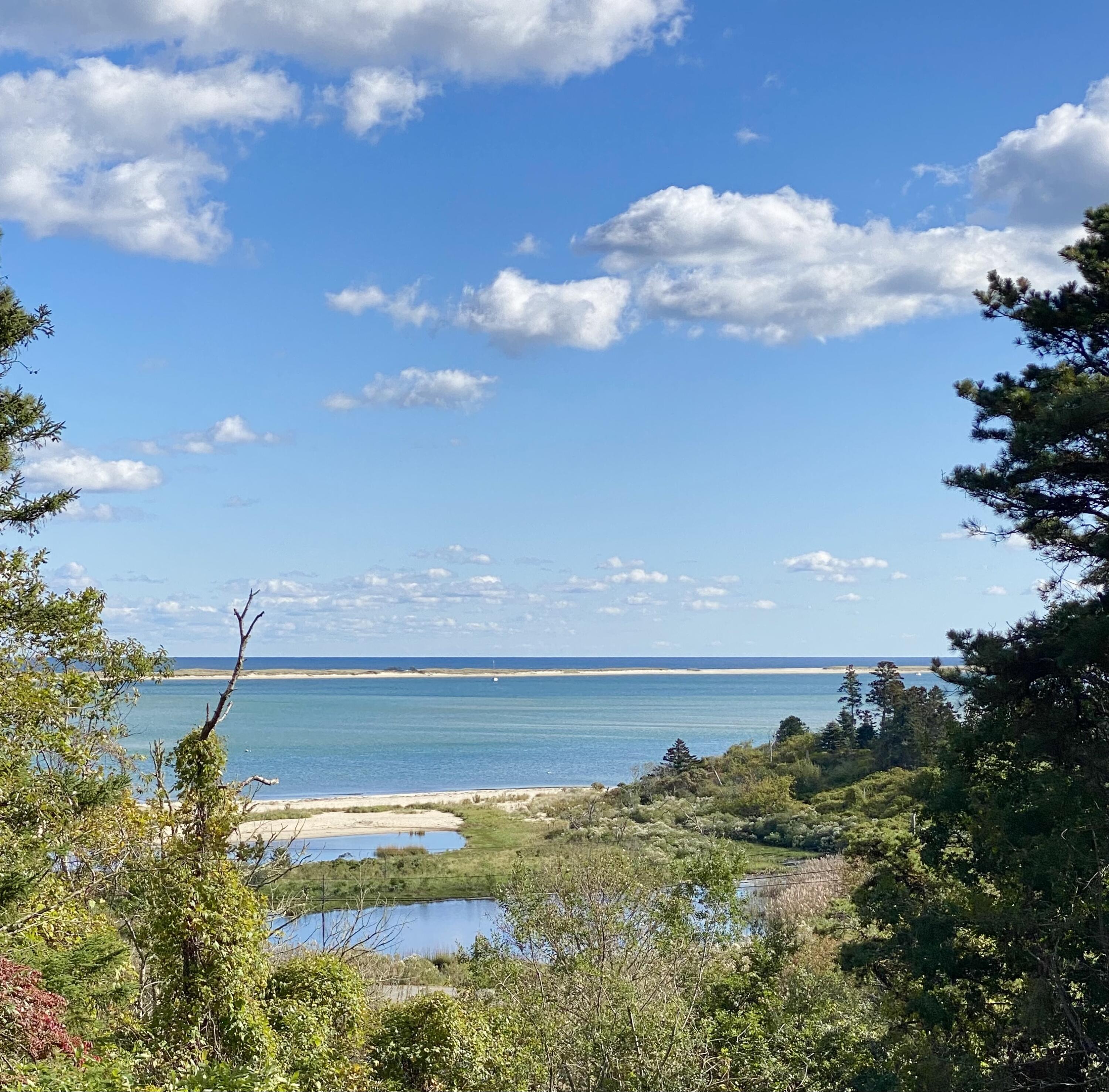 34 Scatteree Road North Chatham, MA 02650 - Photo 3 of 40 a view of a street