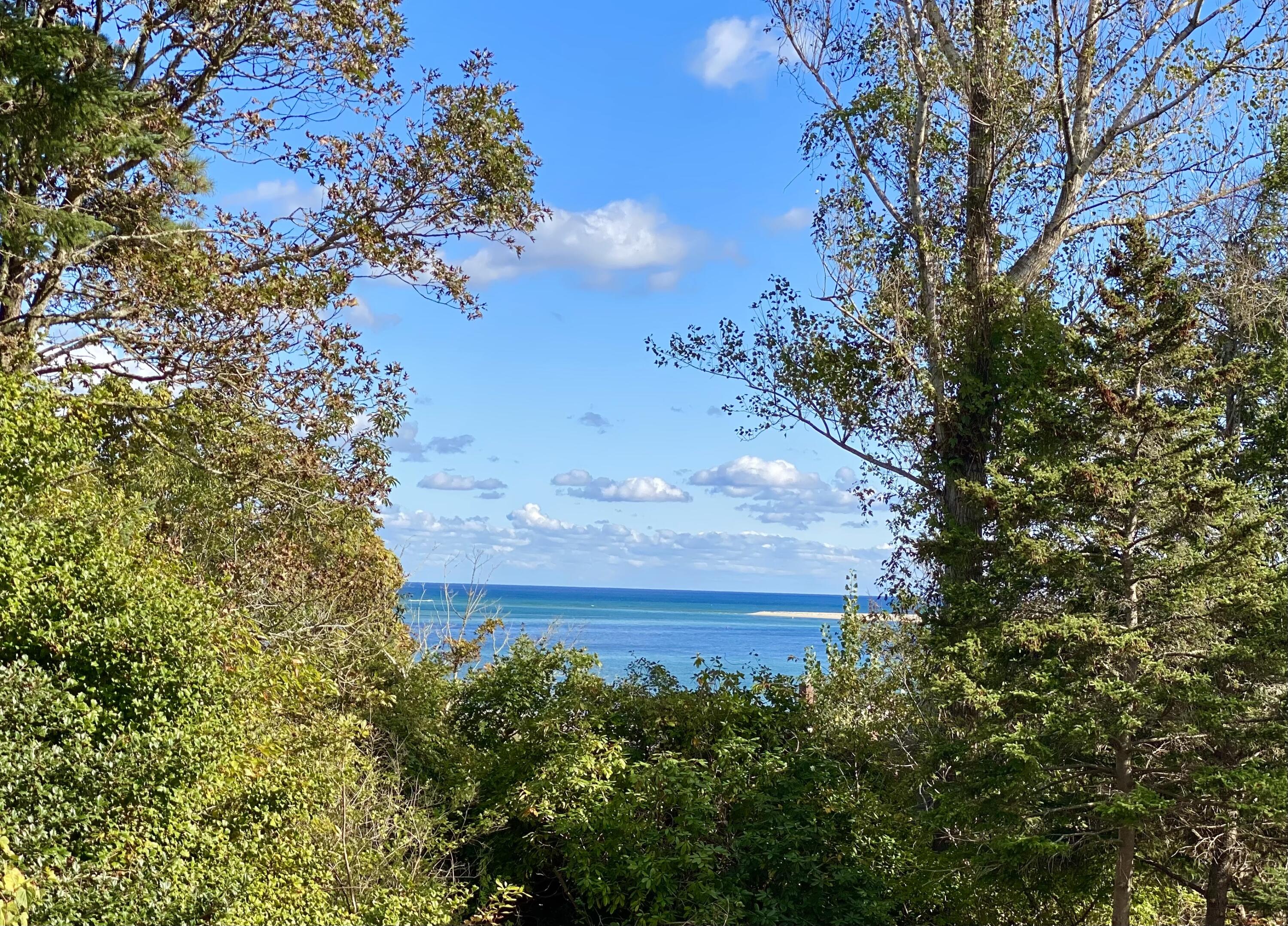 34 Scatteree Road North Chatham, MA 02650 - Photo 5 of 40 a view of a yard