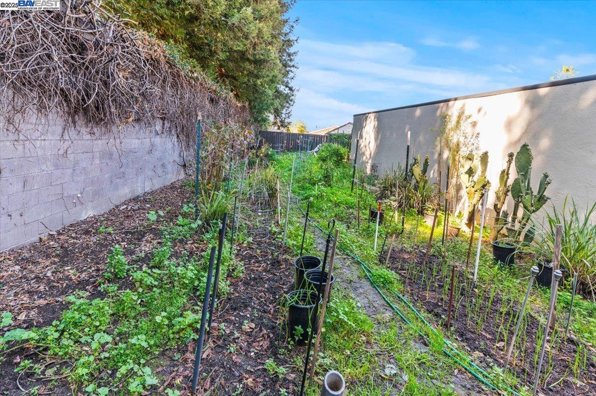 462 Craven Court Hayward, CA 94541 - Photo 16 of 50 a view of a garden with plants and a bench
