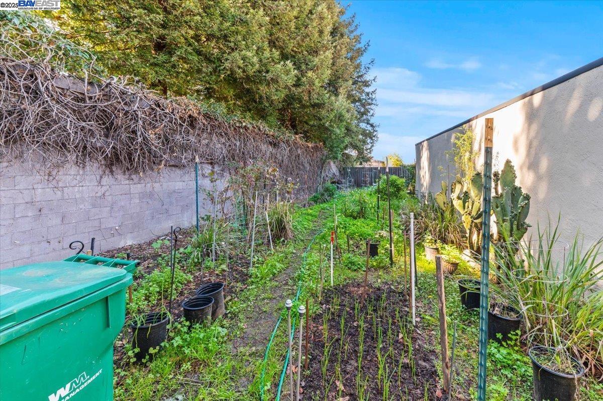462 Craven Court Hayward, CA 94541 - Photo 19 of 50 a backyard of a house with lots of green space