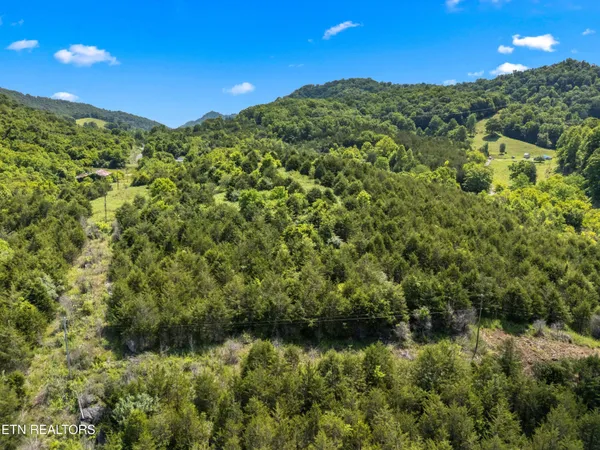 $225,000 | 111 Kyle Valley Road, Eidson, TN 37731