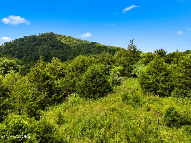 $225,000 | 111 Kyle Valley Road, Eidson, TN 37731