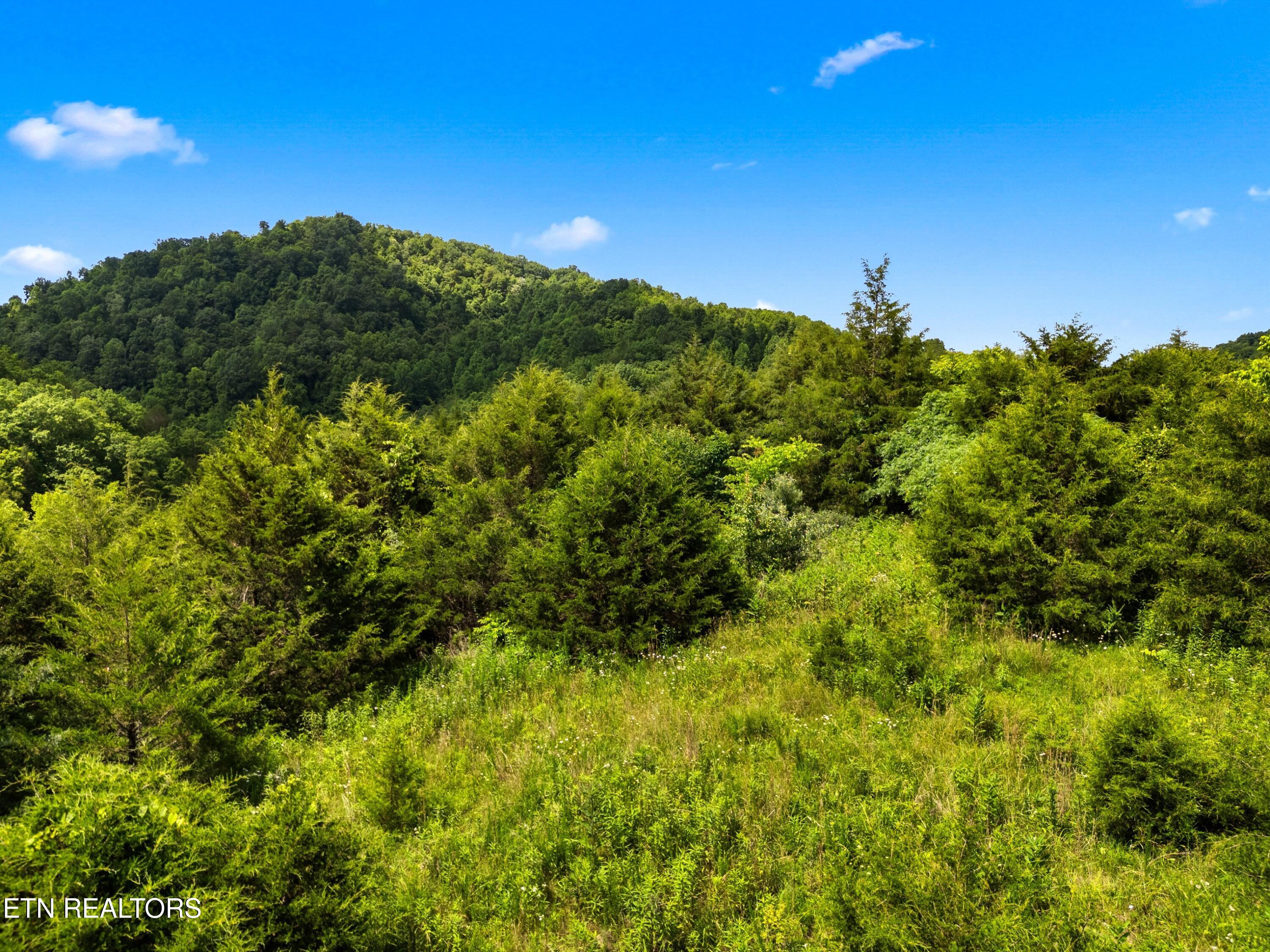 111 Kyle Valley Road Eidson, TN 37731 - Photo 19 of 36 041-111KyleValleyRoad-TN-37731-SMALL